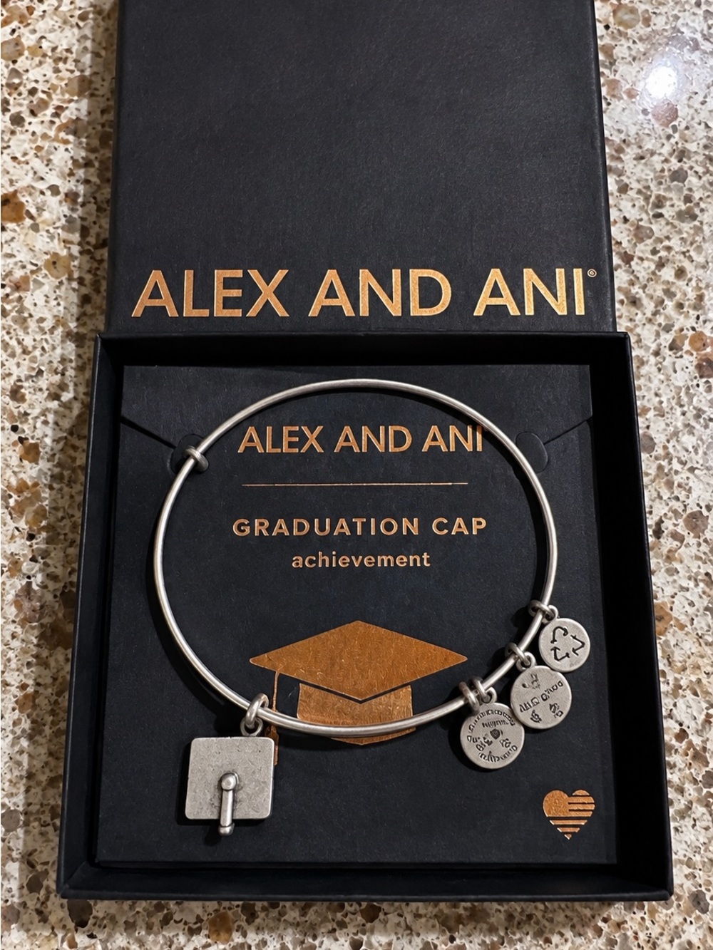 Alex and Ani Silver Graduation Cap Charm Bangle with Inspirational Charms